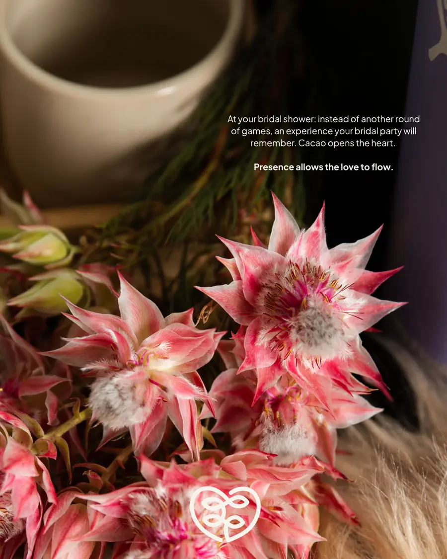 Pink blushing bride proteas beside a cacao cup: “At your bridal shower: an experience your bridal party will remember.”