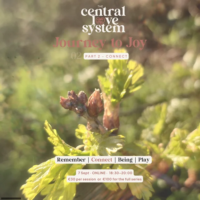 Journey to Joy Part 2, Connect — new spring growth in sunlight, 7 September, online, 18:30–20:00.